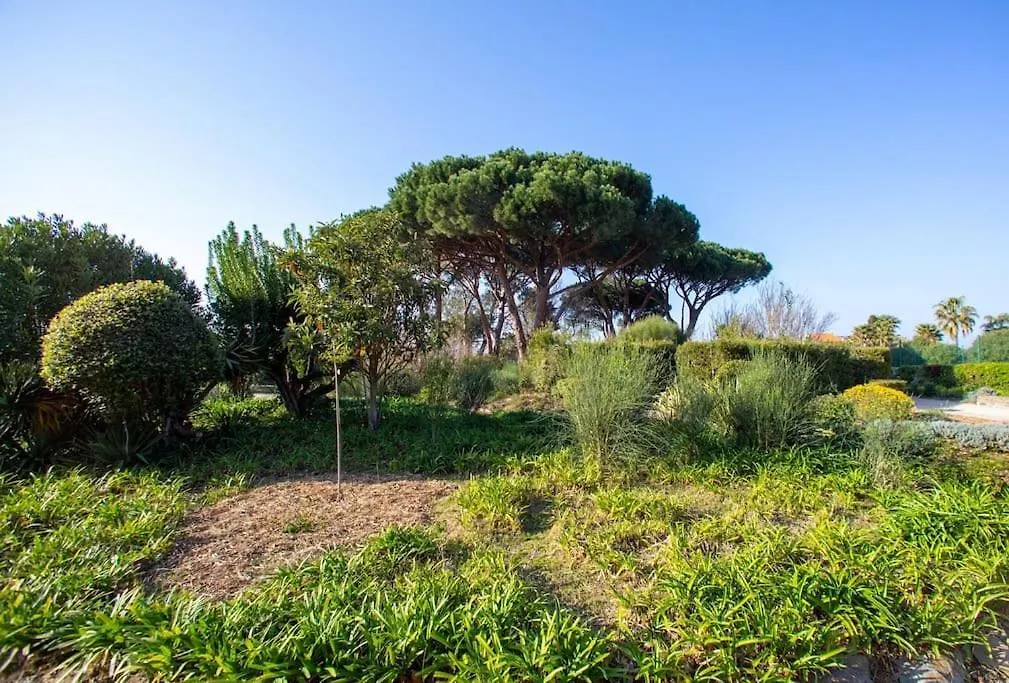 Appartement Entierement Renove Avec Terrasse Saint Tropez 0*,