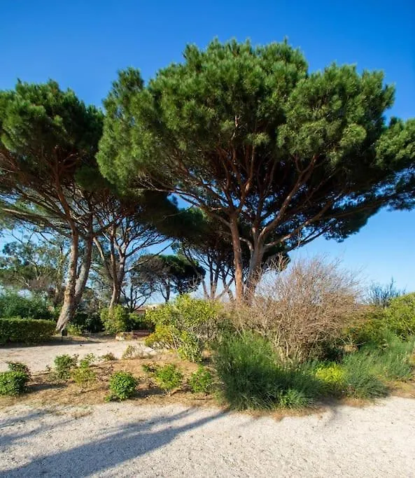 Apartment Appartement Entierement Renove Avec Terrasse Saint-Tropez France