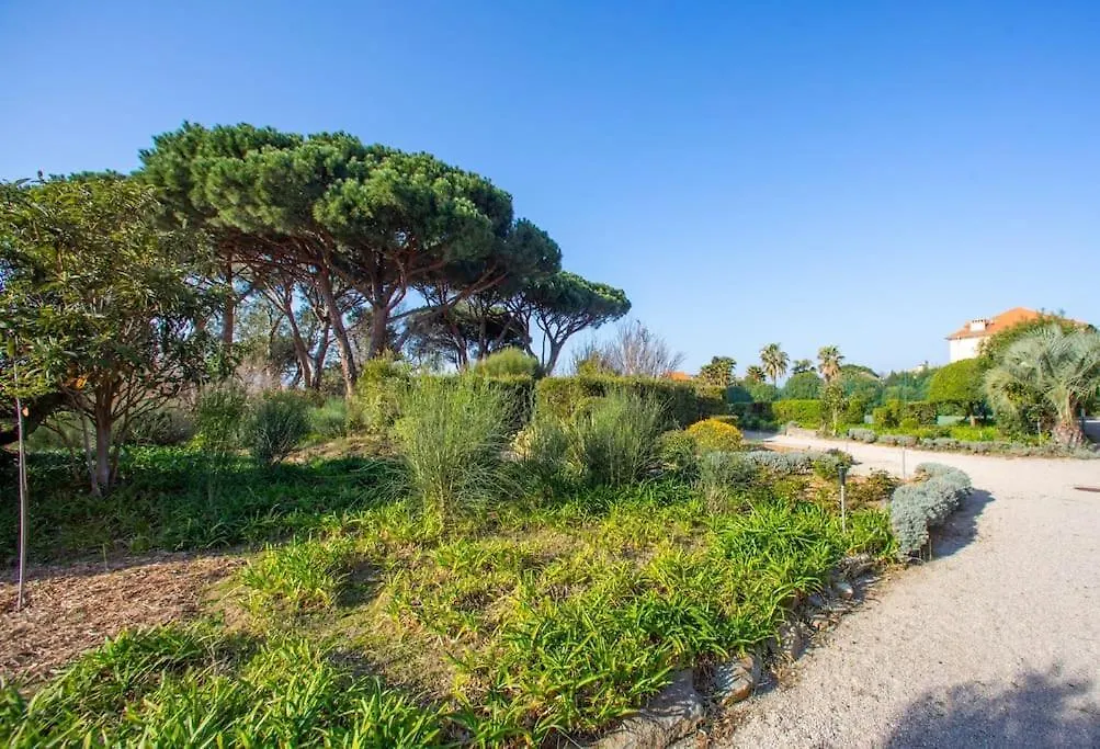 Appartement Entierement Renove Avec Terrasse Saint Tropez Apartmán